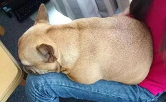 夜里十大禁用直播APP糖心